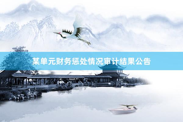 某单元财务惩处情况审计结果公告