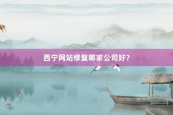 西宁网站修复哪家公司好？